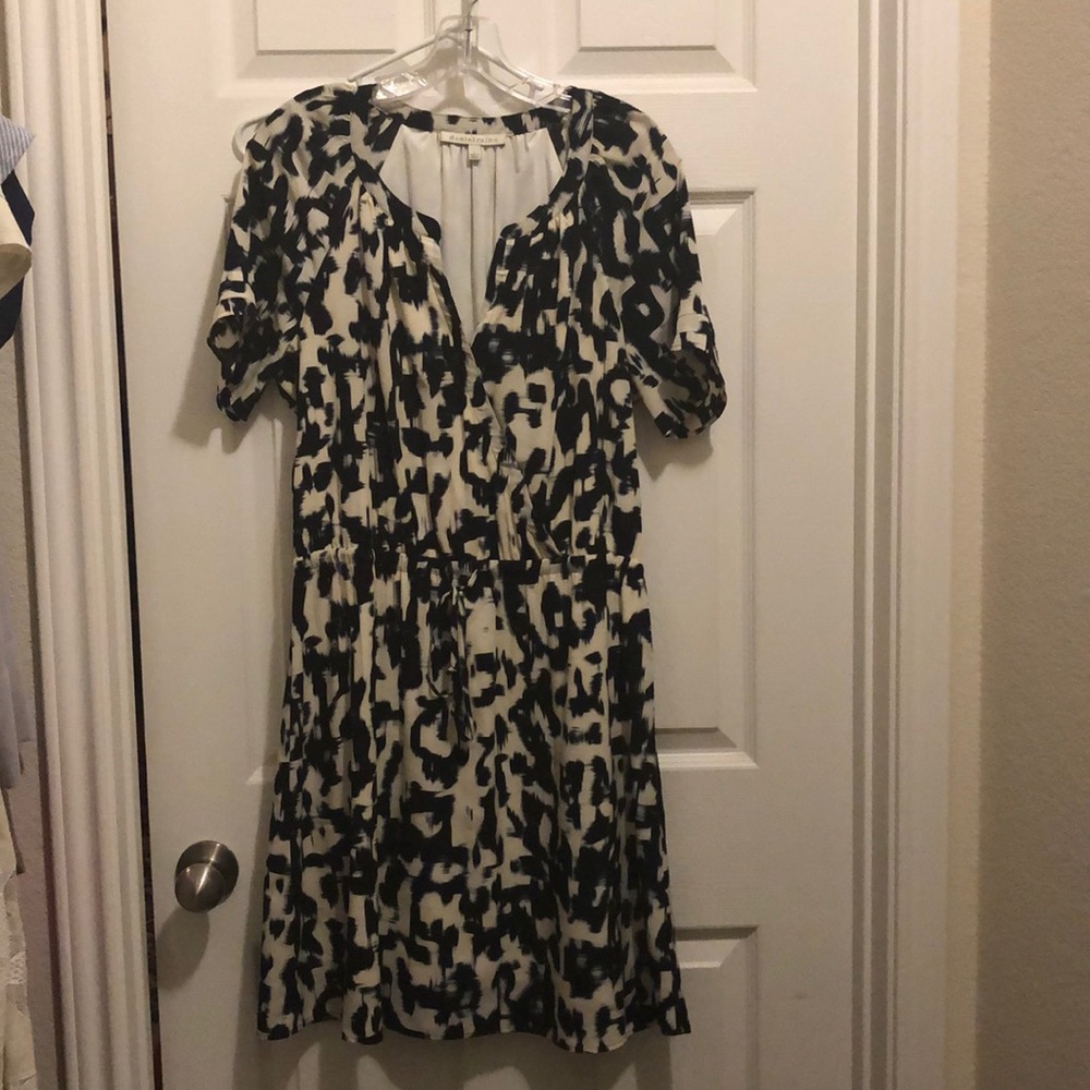 Daniel Rainn dress
